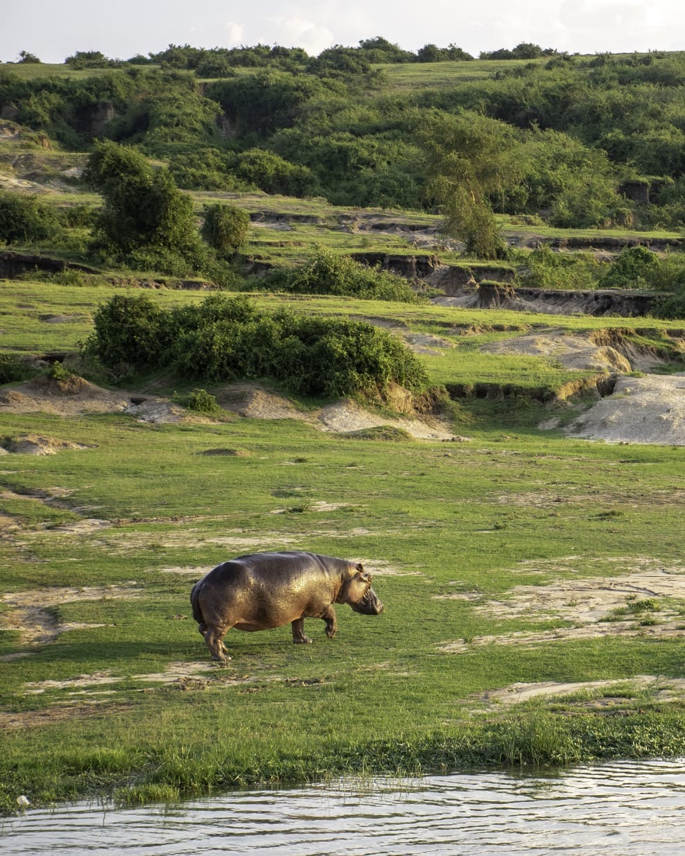 Uganda-Entdeckungsreise – 15 Tage: Das Beste von Uganda
