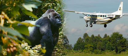Mountain Gorillas of Uganda – 5 Days Safari Itinerary